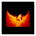 Phoenix - Customized posters