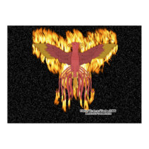 Phoenix Fire posters
