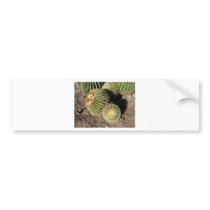 PHOENIX FLORA AND FAUNA BUMPER STICKER