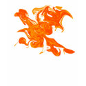 phoenix hoodie t-shirts