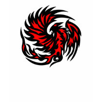 Phoenix Longsleeve t-shirts by Kidd_Ikarus Phoenix Longsleeve t-shirts