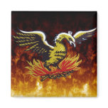 Phoenix Magnet