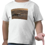 Phoenix Mars Lander 3 Tees