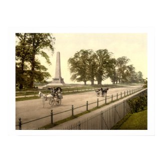 Wellington monument & Phoenix Park Dublin Ireland, 19th century print