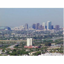 Phoenix photo sculptures