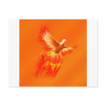 Phoenix postcards by prairiekittin Phoenix postcards