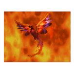 Phoenix Postcards