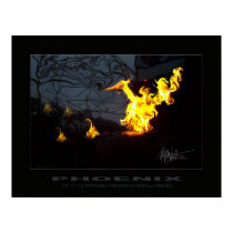 Phoenix posters