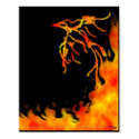 Phoenix posters by arcune Phoenix posters