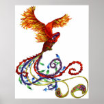 Phoenix Print