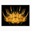 'Phoenix: renaissance' Canvas Fine Art Print by NVCreations 'Phoenix: renaissance' Canvas Fine Art Print