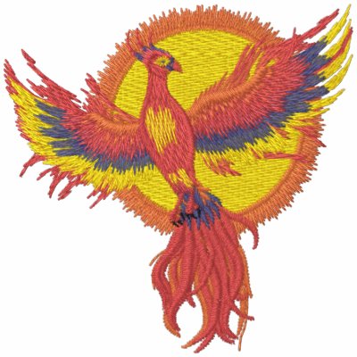 Phoenix Rising Embroidered Hoodie