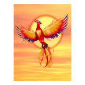 Phoenix Rising posters by Spice Phoenix Rising posters