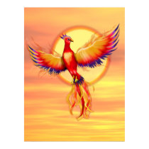 Phoenix Rising posters by Spice Phoenix Rising posters