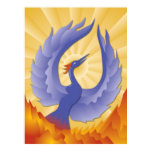 Phoenix Rising posters