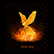 Phoenix Rising posters