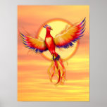 Phoenix Rising posters
