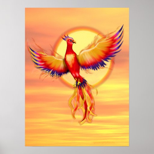 Phoenix Rising Print Zazzle