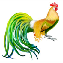 Phoenix Rooster Fitted Baby Doll Shirt