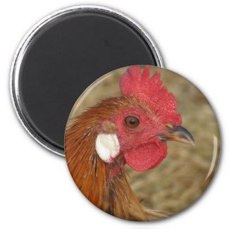 Phoenix Rooster magnet