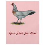 Phoenix:  Silver Duckwing Hen flyers