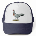 Phoenix:  Silver Duckwing Hen hats
