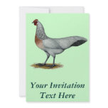 Phoenix:  Silver Duckwing Hen Personalized Invite