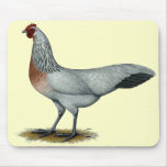 Phoenix:  Silver Duckwing Hen Mouse Pads