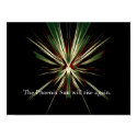 Phoenix Sun posters