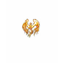 Phoenix t-shirts