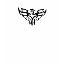 Phoenix t-shirts