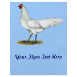 Phoenix:  White Hen flyers