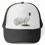 Phoenix:  White Rooster hats
