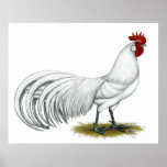 Phoenix:  White Rooster posters