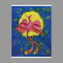 PhoenixColor postcards