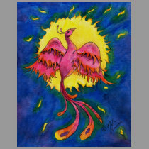 PhoenixColor t-shirts