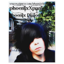 Phoenixxpanicked2 Flyer