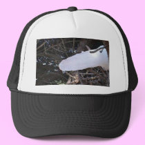 PHOGRAPHING FAIRIES hats by NESIKA101 PHOGRAPHING FAIRIES hats