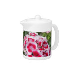 pholox teapot