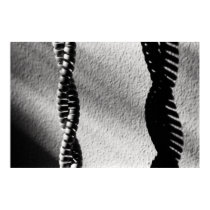 Phone cord #1 posters by BoB_with_two_ohs Phone cord #1 posters