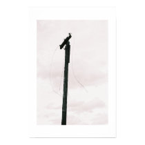 Phone Pole posters by amerrillcrew Phone Pole posters
