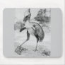 Phororhacos Terrorbird Mousemat Mouse Pad