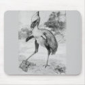 Phororhacos Terrorbird Mousemat mousepads