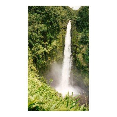 Photo - 'Akaka Falls, Hawaii Print by RainBringsLife