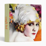 Photo album binders, Vintage Painting