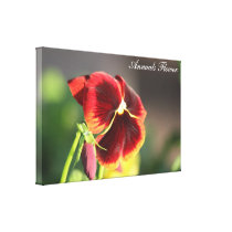 Photo Annuals Flower Canvas Prints