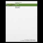 Photo Band - Japanese Maple letterhead