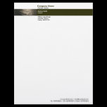 Photo Band - Sun on Water letterhead