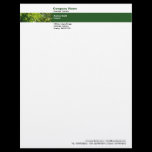 Photo Band - Trees letterhead