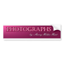 photo banner bumper stickers